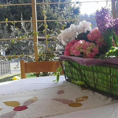 Nocleg ze śniadaniem Lori