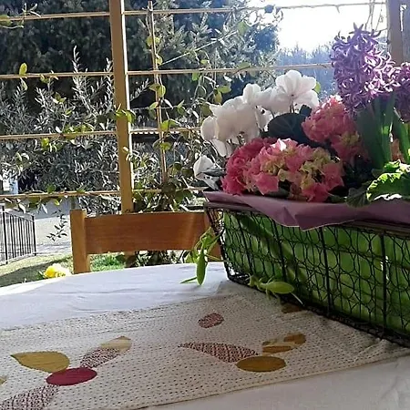 Lori Nocleg ze śniadaniem 4*